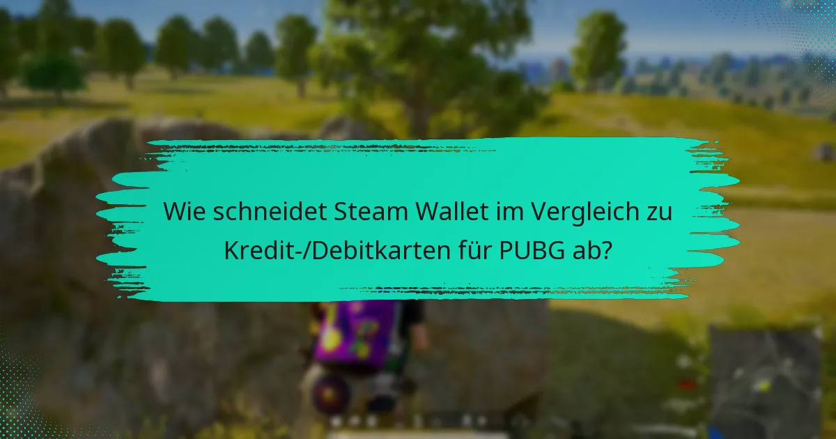 Was sind die Nachteile der Verwendung von Steam Wallet für PUBG?