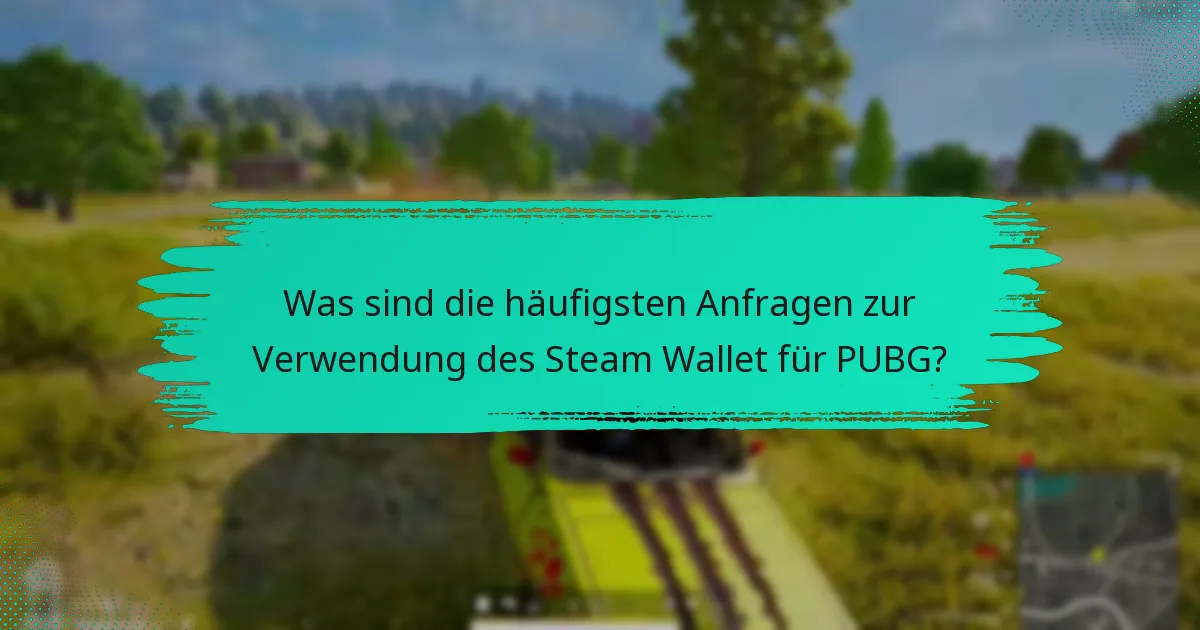 Wie behebt man Probleme mit dem Steam Wallet in PUBG?