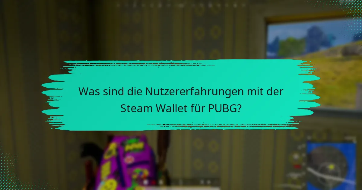 Welche Vorschläge haben Nutzer zur Verbesserung der Steam Wallet?