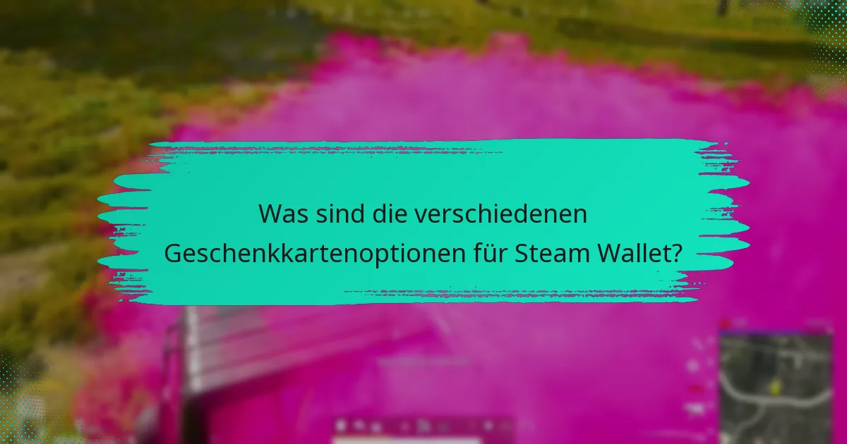Wie sende ich ein Steam Wallet-Geschenk für PUBG?