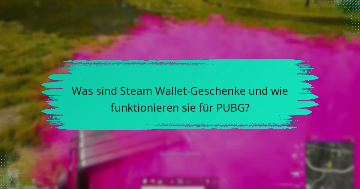 Wie empfange ich Steam Wallet-Geschenke für PUBG?