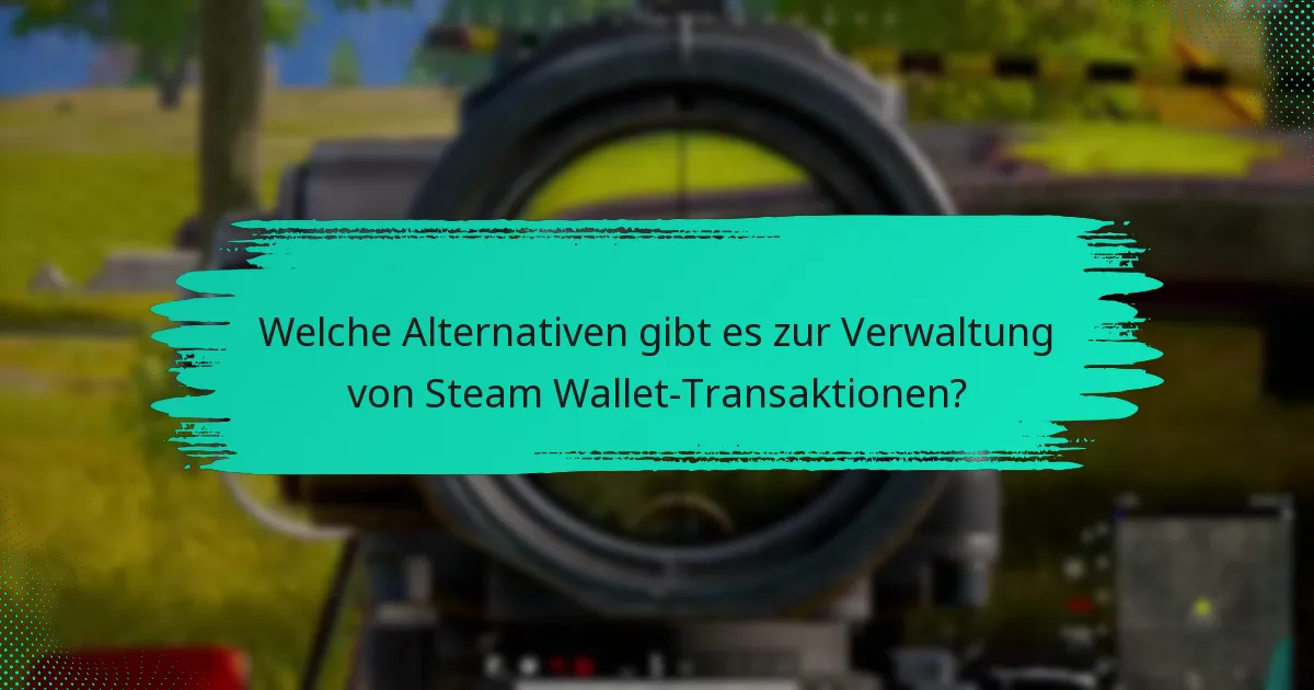 Was sind häufige Herausforderungen bei Steam Wallet-Transaktionen?