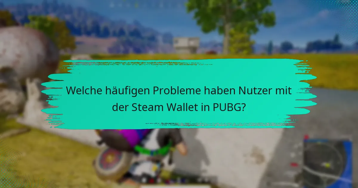 Wie schneidet die Steam Wallet im Vergleich zu anderen Zahlungsmethoden für PUBG ab?