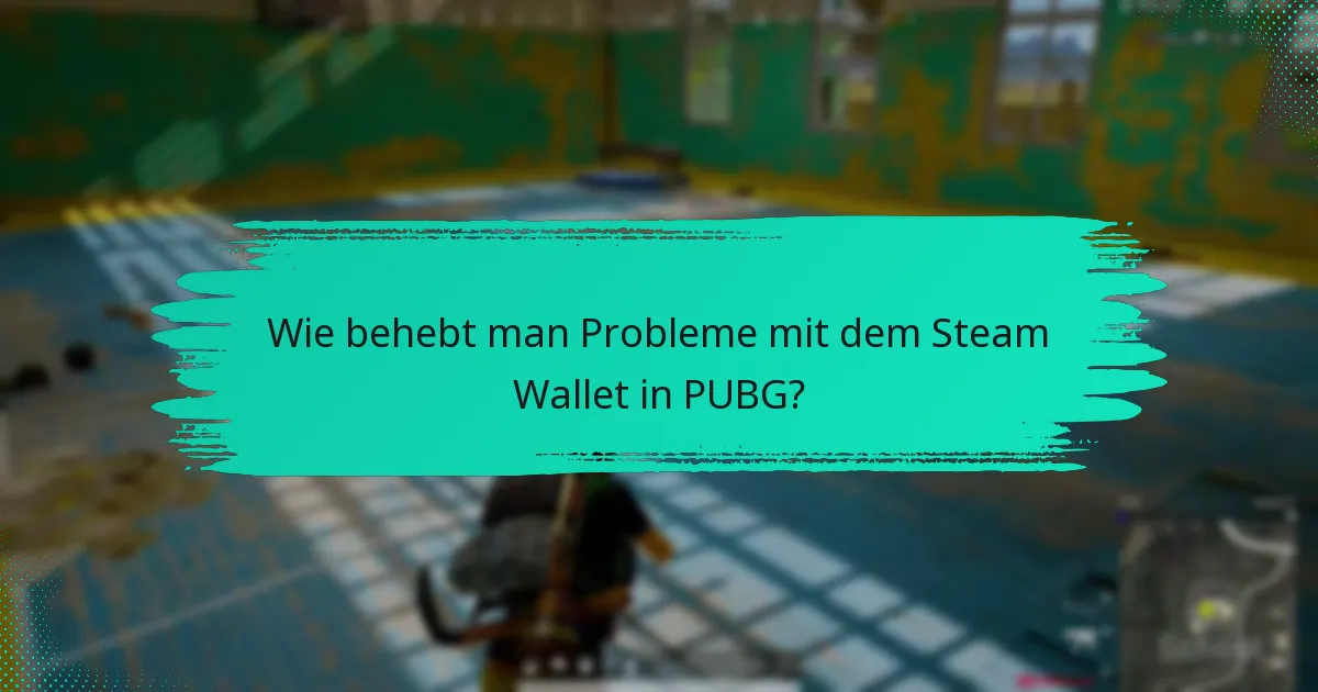 Was sind die Richtlinien zur Verwendung des Steam Wallet für PUBG?
