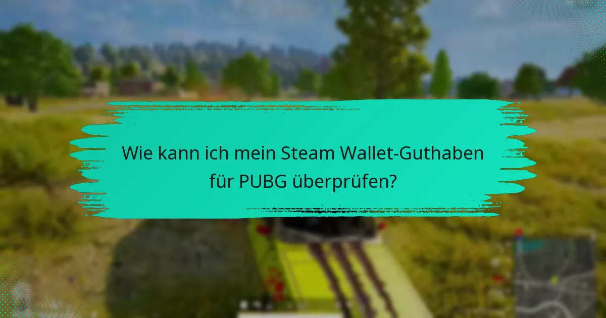 Wie schneidet das Steam Wallet im Vergleich zu anderen Zahlungsmethoden für PUBG ab?